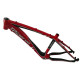 MTB XC carbon frame Minerva Vector TG500