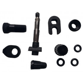 Valve Mavic Tubeless ronde presta