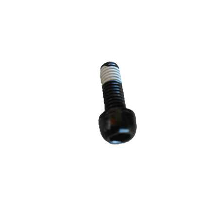 Screw for disc brake caliper