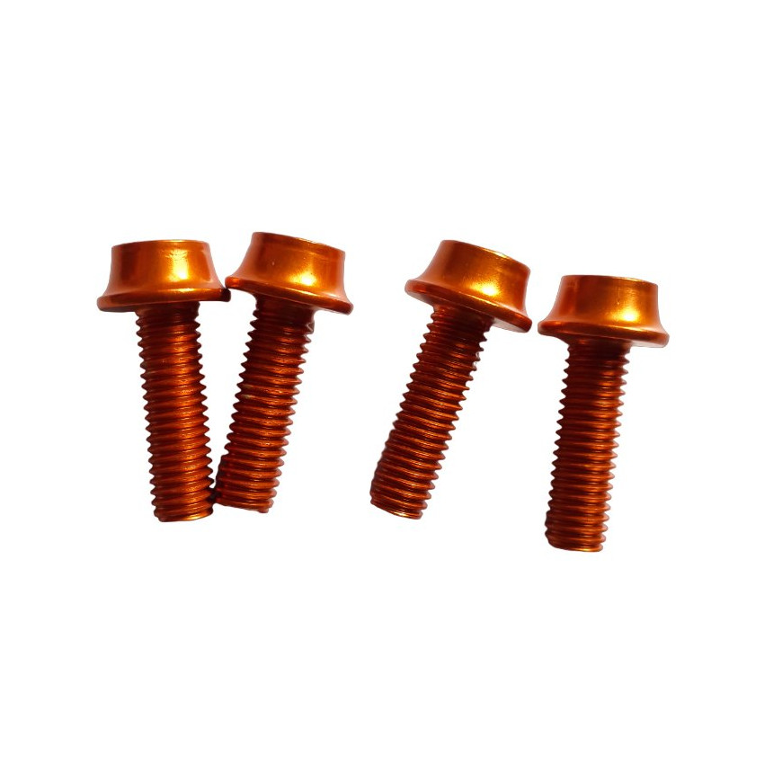 Bottle cage screws A2Z, 45 off