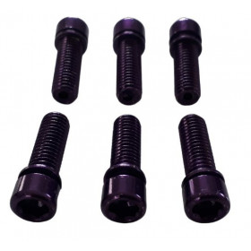 Purple anodized screws M8x25 for stem