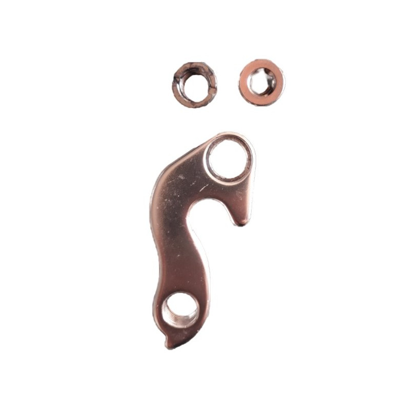 Canyon derailleur hanger