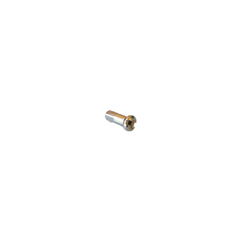 Spoke nut DT Swiss Champion nickeled brass 2 x 12 mm