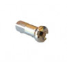Spoke nut DT Swiss Champion nickeled brass 2 x 12 mm