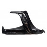 Pro carbon composite bottle cage