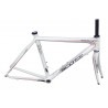 Scott Addict R4 frame size 54