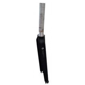 Giant compact road carbon black fork