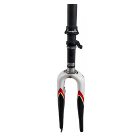 Stevens carbon fork in second hand condition