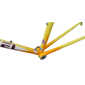 Cadre velo course vintage Nickel cockpit 743 taille 54