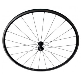 Wheelset Campagnolo Proton