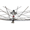 Roue Giro moyeu Normandy Luxe competition 36 rayons