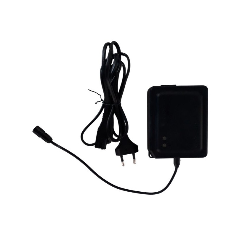 Campagnolo EPS Charger