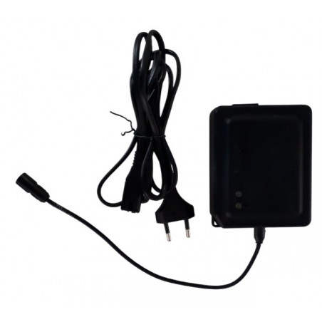Campagnolo EPS Charger