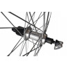 Rear wheel 700 tire 9 speed 36 spokes