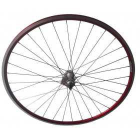 Roue avant Ambrosio Balance