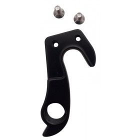 Giant TCR derailleur hanger