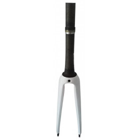 Carbon fork Time for road bike