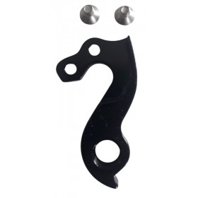 Bianchi 928 carbon SL road bike derailleur hanger