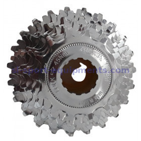 Miche Campagnolo 10s cassette