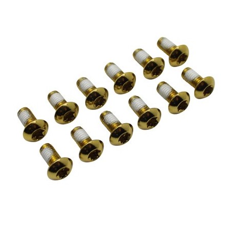 Vis de disque de frein Ashima M4x10mm tête torx (lot de 12)