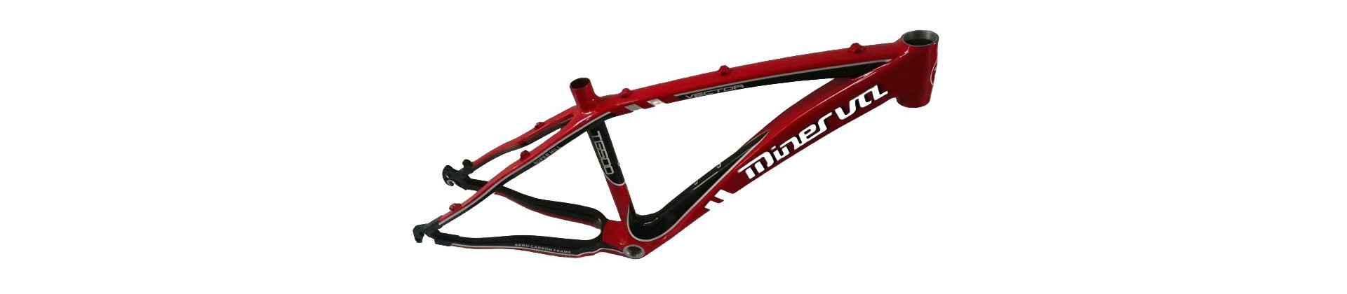 MTB xc frame